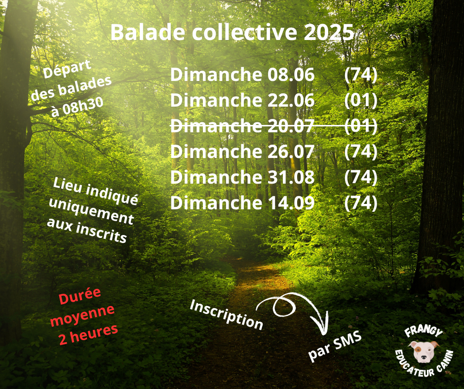 Balade collective; Balade canine collective; Balade chien collective; Balade canine; Balade chien