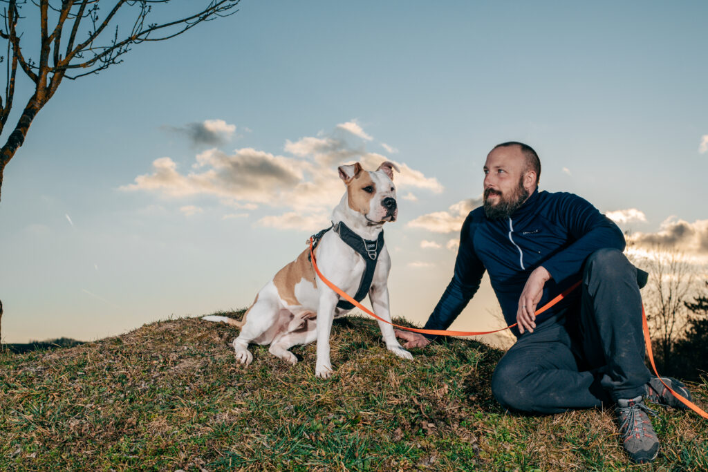 Bilan comportementale Chien